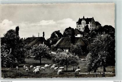 9507 Stettfurt - Schlossgut Sonnenberg - 10623135