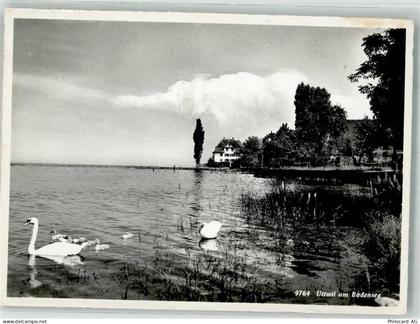 8592 Uttwil 1958 Foto AK Uferpartie Schwäne - 38070103