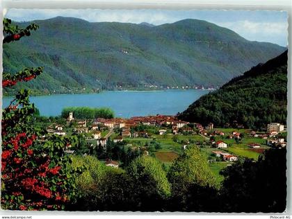 6987 Caslano - 39405159