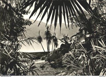 Brissago TI Brissago