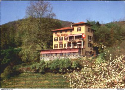 Pura Pension x 1977