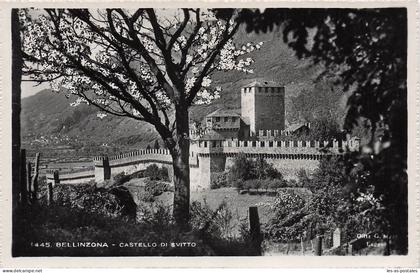 SUISSE BELLINZONE CASTELLO DI SVITTO