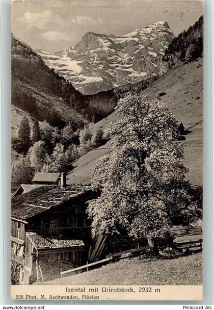 6461 Isenthal 1916 Foto AK Isental Uristock - 38067873