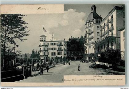 6377 Seelisberg - 10205480