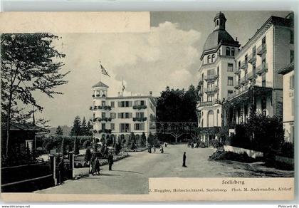 6377 Seelisberg - 10205486