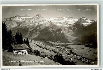 10597778 - Les Diablerets Ormont-Dessus