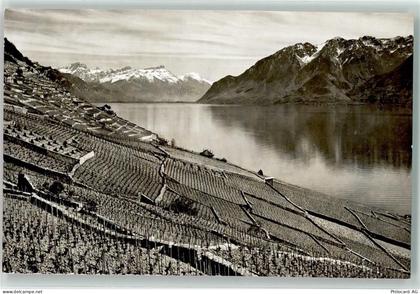1096 Villette Lavaux - Le Coteau de Lavaux Wein - 39495860