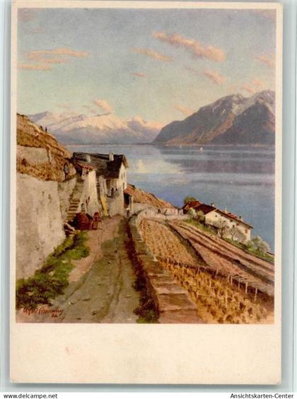 11094027 - Forel (Lavaux)