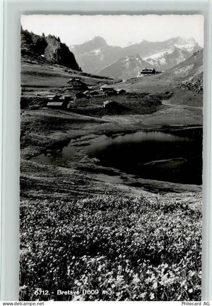 Bretaye - Blühende Wiese - 12112598