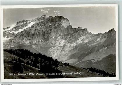 Bretaye - Les Diablerets - 10308235
