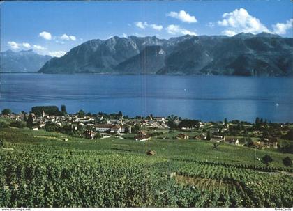 Cully VD Alpes Saavoie