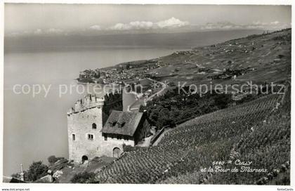 Cully VD et la Tour de Marsens