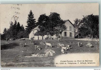 1446 Baulmes 1910 - Chalet Pension du Mont de Baulmes Kühe - 13172603