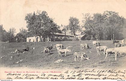 Suisse - Chalet du Mont de Baulmes (VD)