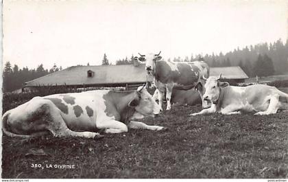 Suisse - SAINT-CERGUE (VD) La Fgivrine - Vaches - Ed. O. Sartori 350