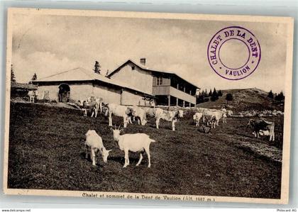 1325 Vaulion 1923 Foto AK Ziege Hüttenstempel Chalet de la Dent - 38248755
