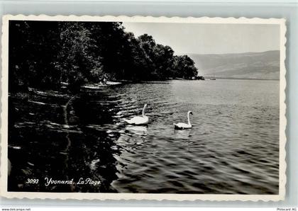 1462 Yvonand - La Plage Schwäne - 10157382