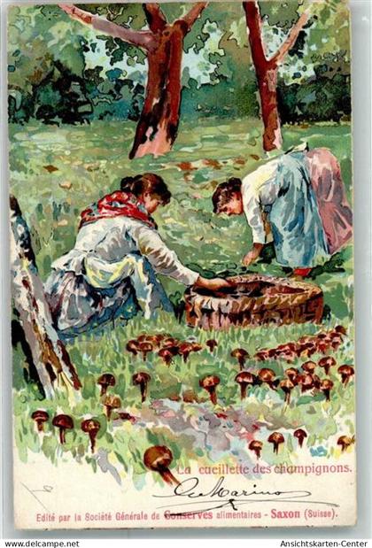 13948146 - Saxon Tovassière