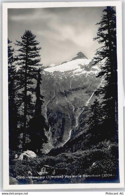 3907 Simplon Dorf - Wasenalp, Borelhorn AKU1 - 50699021