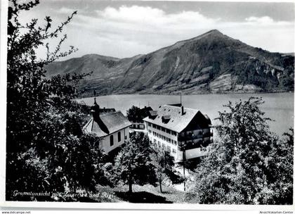 50746495 - Walchwil