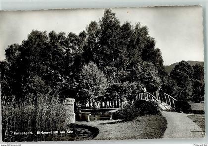 6314 Unterägeri - Birkenwädli - 39495398