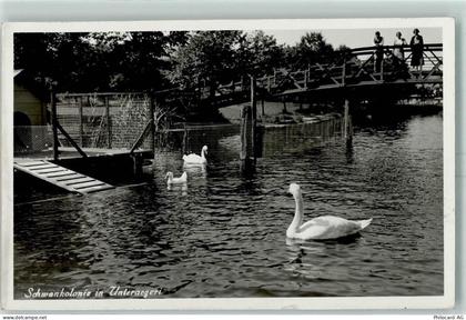 6314 Unterägeri - Schwankolonie See Brücke - 10394098