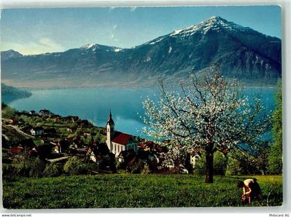 6318 Walchwil - Rigi - 39490586