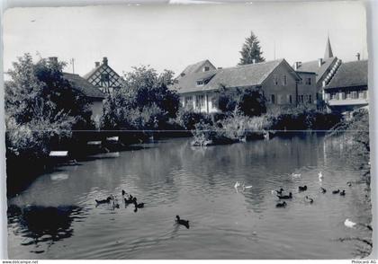 8353 Elgg - Torweiher - 50564578