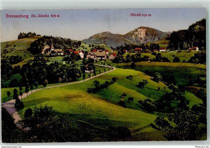 8499 Sternenberg 1919 - Hörnli - 13902535