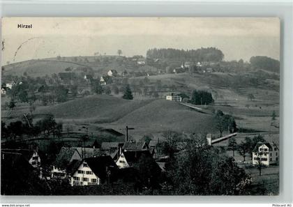 8816 Hirzel - 13218105