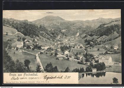 AK Fischenthal, Ortsansicht mit Hörnli