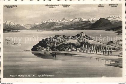 Au ZH Hotel Halbinsel Au Zuerichsee Dampfer Alpenpanorama