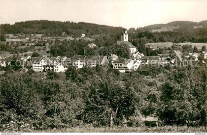 Hinwil Panorama