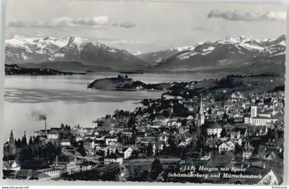 Horgen ZH Horgen Schaennisberg Muertschentock x
