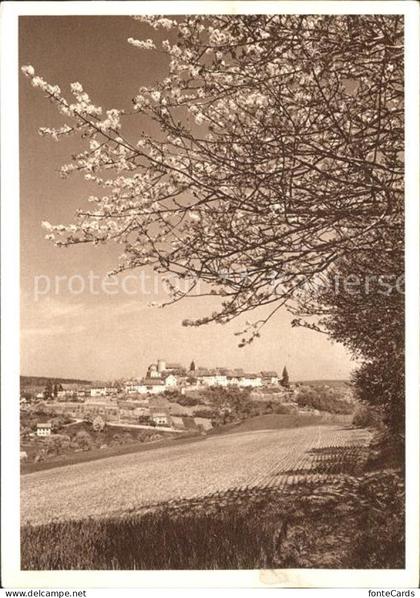 Regensberg Dielsdorf Blaukreuzjugendwerk