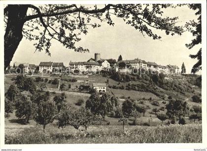 Regensberg Dielsdorf Gesamtansicht