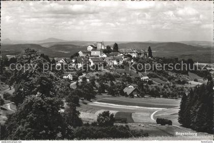 Regensberg Dielsdorf Panorama