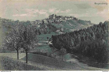 Regensberg Dielsdorf ZH Panorama