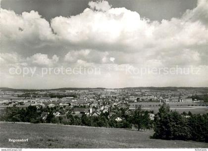 Regensdorf Panorama