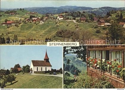 Sternenberg ZH Panorama Kirche Dorfmotiv