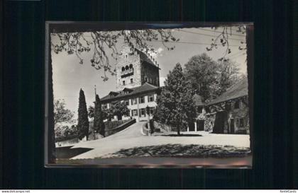 Uster ZH Uster Schloss