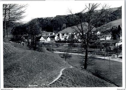 8494 Bauma - 50798898