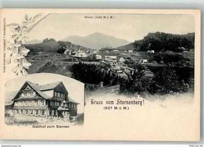 8494 Bauma Foto AK Gasthaus zum Sternen Sternenberg - 13585917