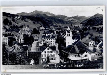 8494 Bauma - Hörnli - 51486209