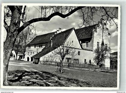 8608 Bubikon Foto AK Ritterhaus Johannitermuseum Foto Honegger - 39702746