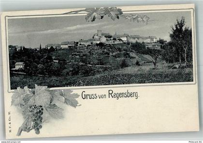 8157 Dielsdorf 1906 Foto AK Regensberg - 14007549