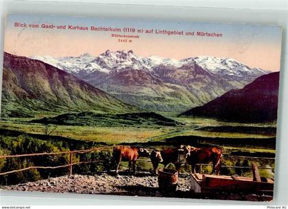 8340 Hinwil 1919 - Gasthaus Bachtelkulm Kühe - 39696976