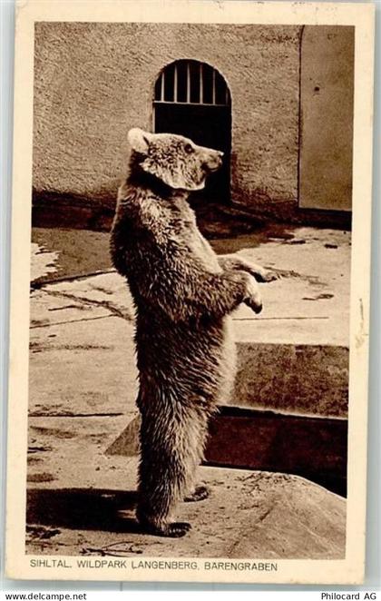 8135 Langnau am Albis 1931 - Bär Wildpartk Langenberg Bärengraben - 38024855