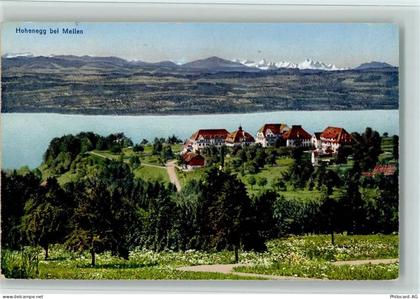 8706 Meilen - Hohenegg, gute Erhaltung AK - 13078755