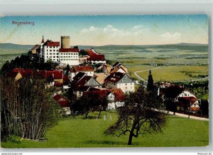 8158 Regensberg - 13113054